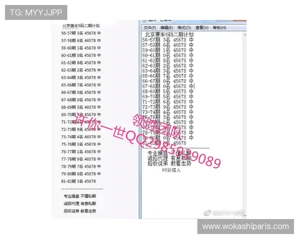 北京赛车pk10玩法技巧详解帮助玩家提升中奖率的实用攻略