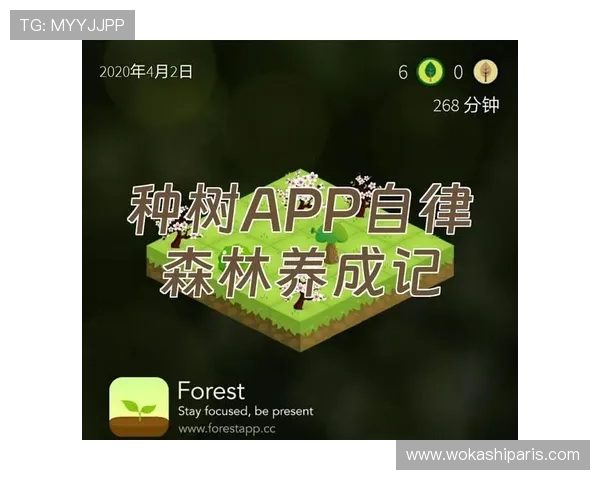 爱游戏app登录账号安全保障措施及密码找回流程详解