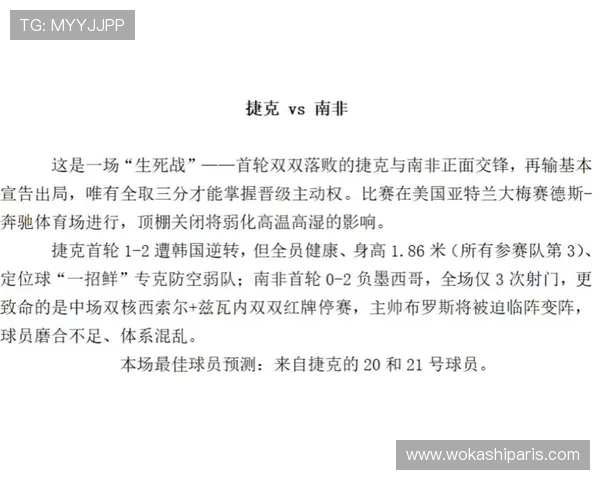 捷克对南非世界杯比赛日程表PDF，帮助球迷提前规划观赛时间