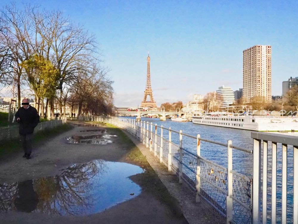 パリに自由の女神像 冬晴れの白鳥の散歩道 パリこそをかしけれ